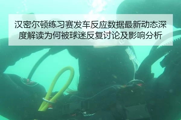 汉密尔顿练习赛发车反应数据最新动态深度解读为何被球迷反复讨论及影响分析